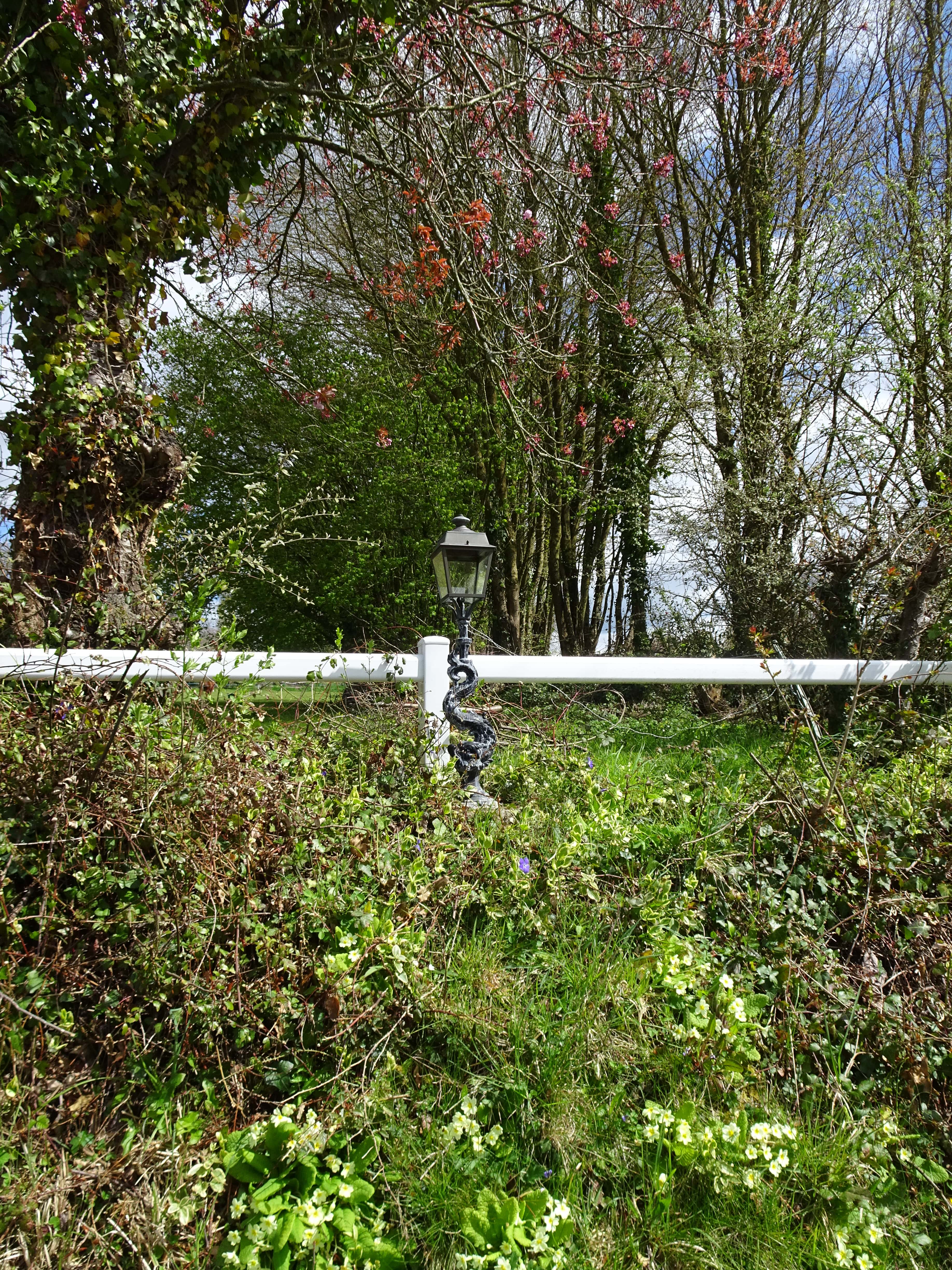 drôle de lampadaire