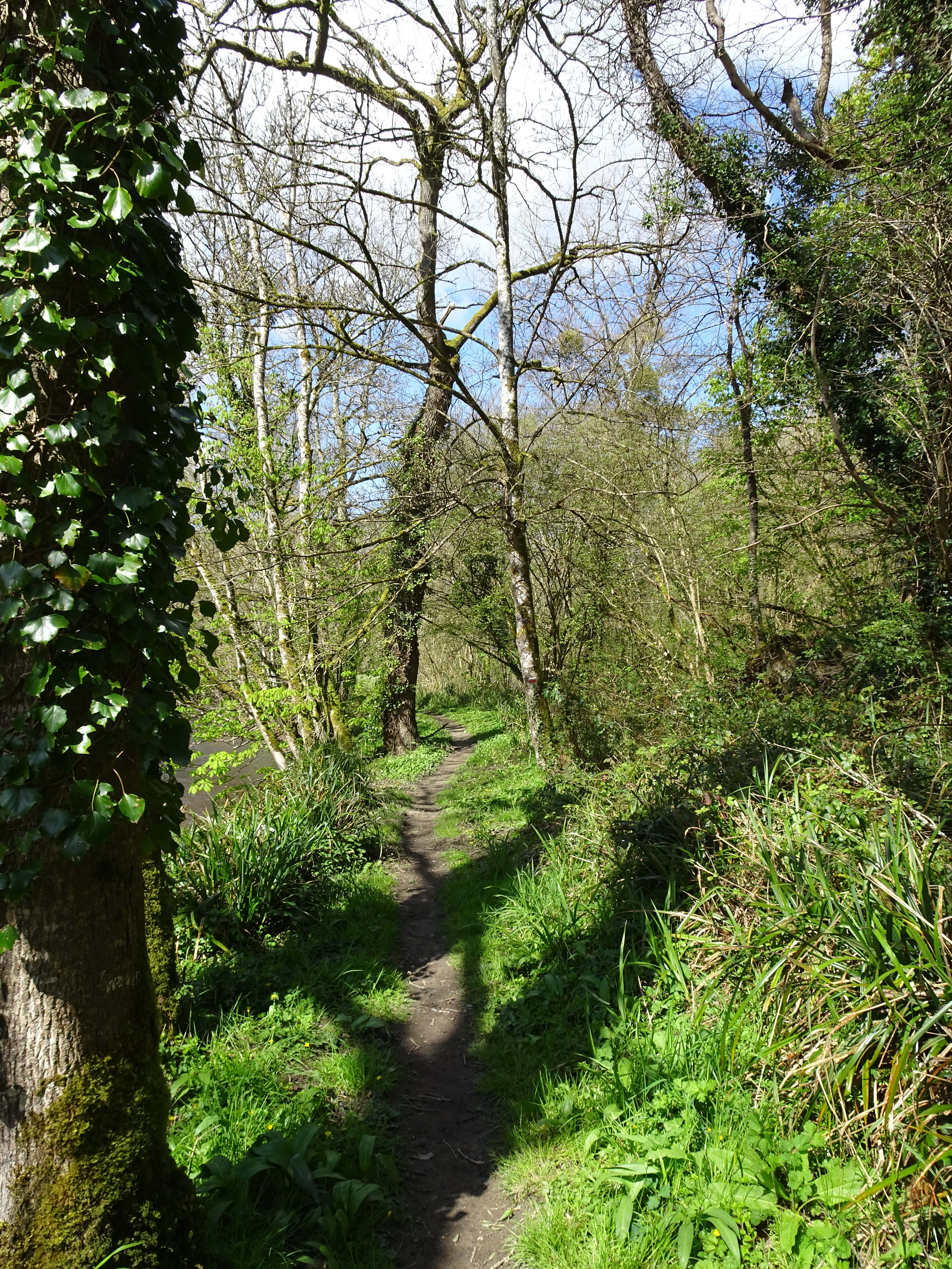 sentier au bord du trieux