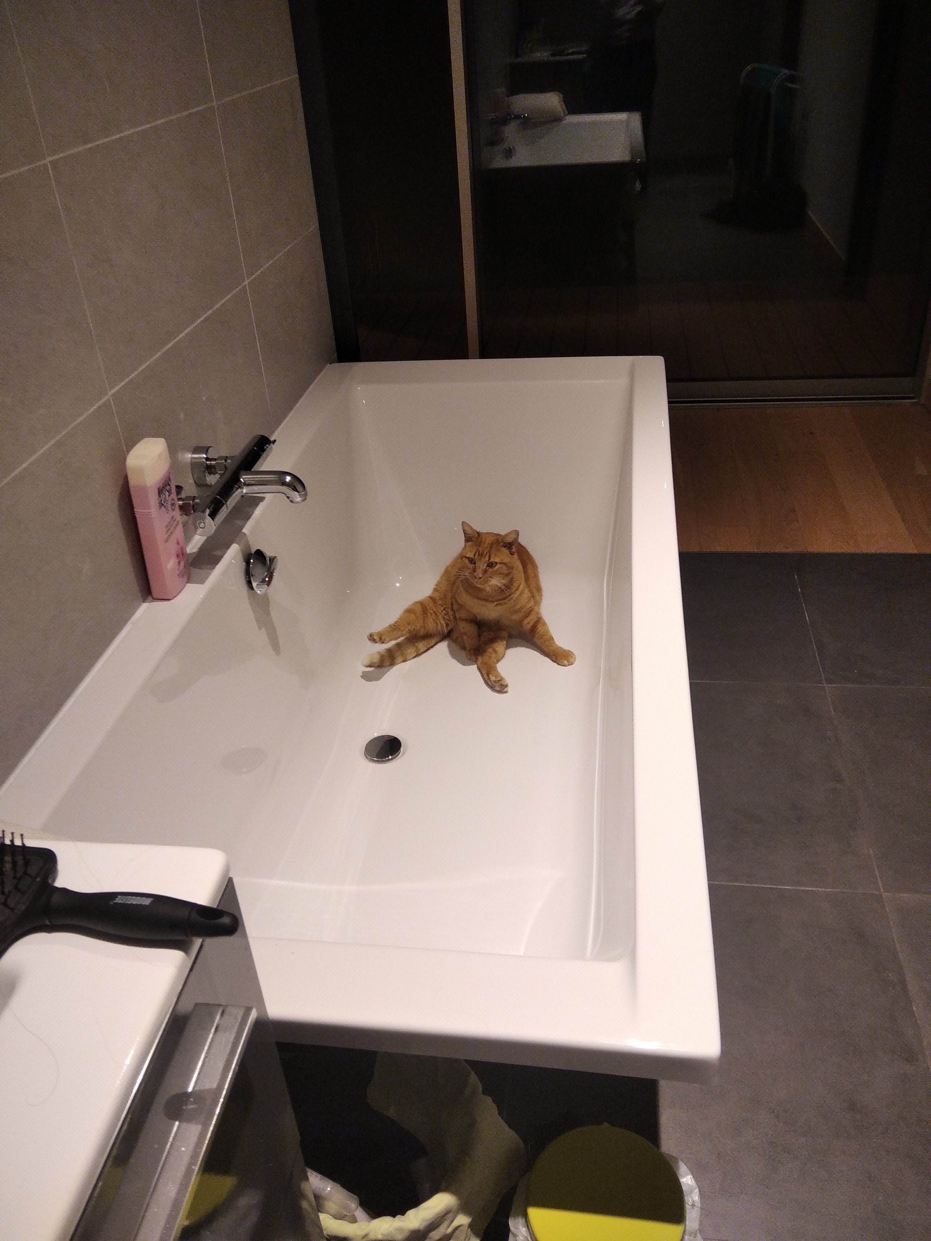 chat