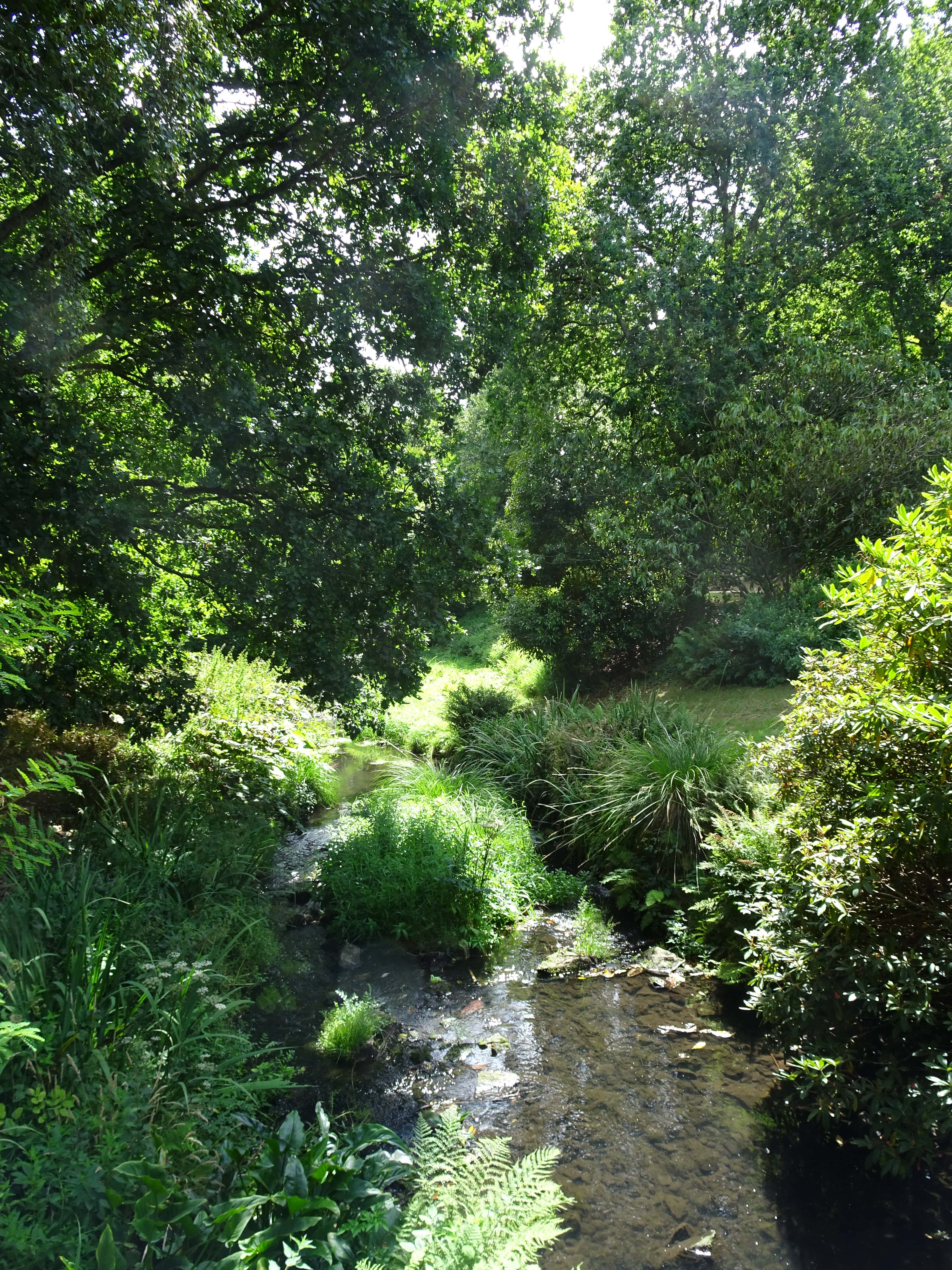 jardin botanique brest