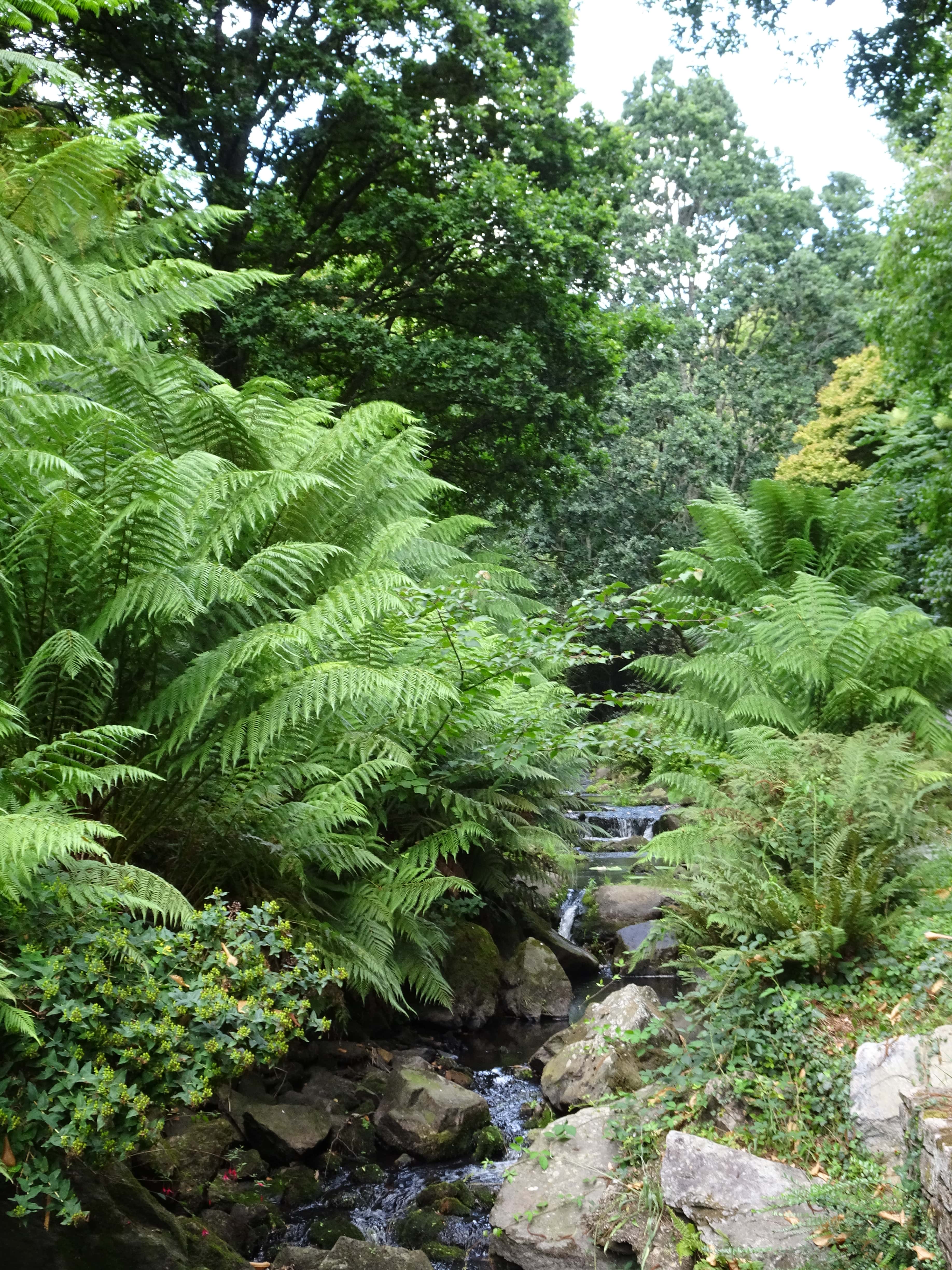 jardin botanique brest