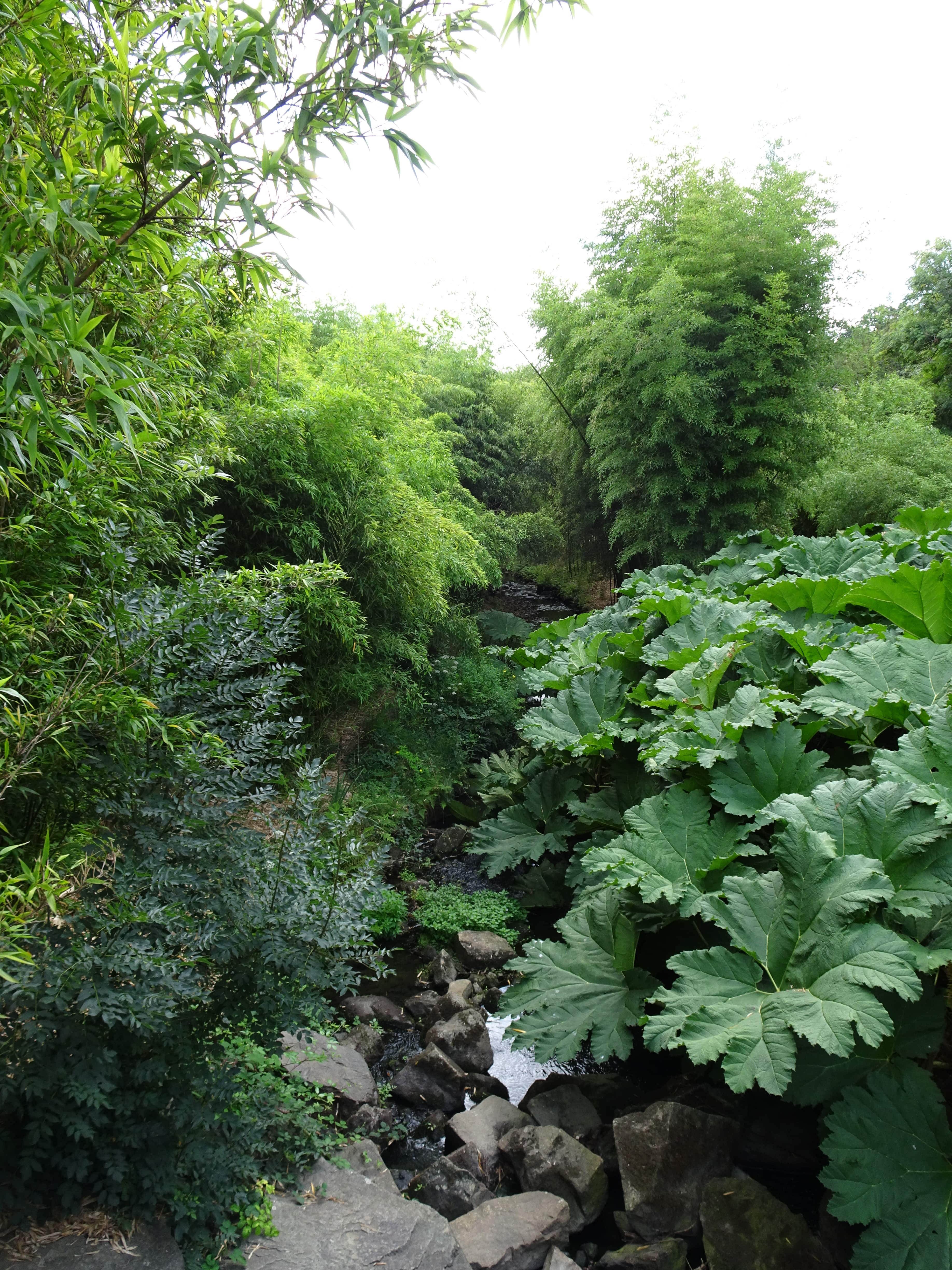 jardin botanique brest