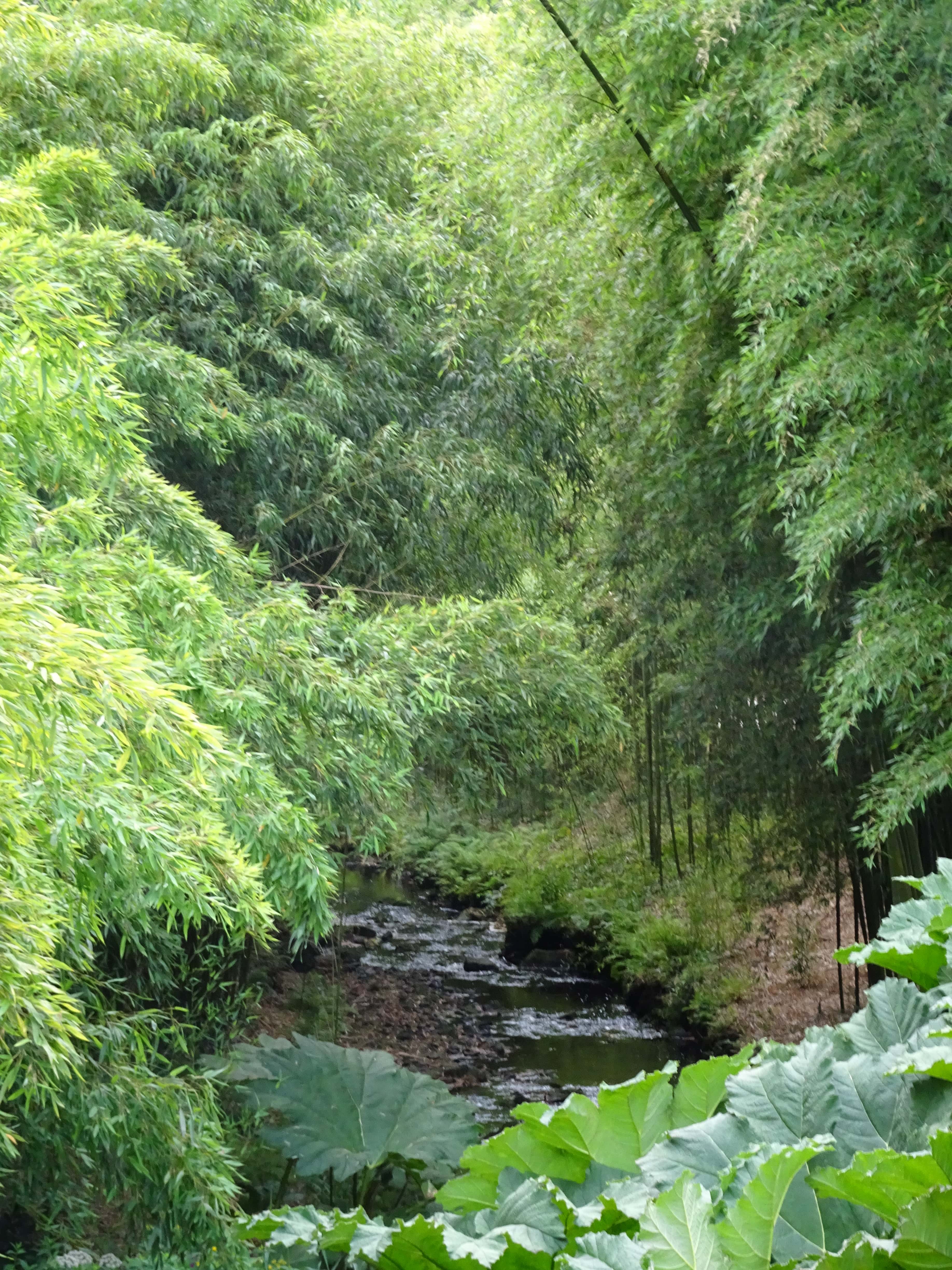 jardin botanique brest