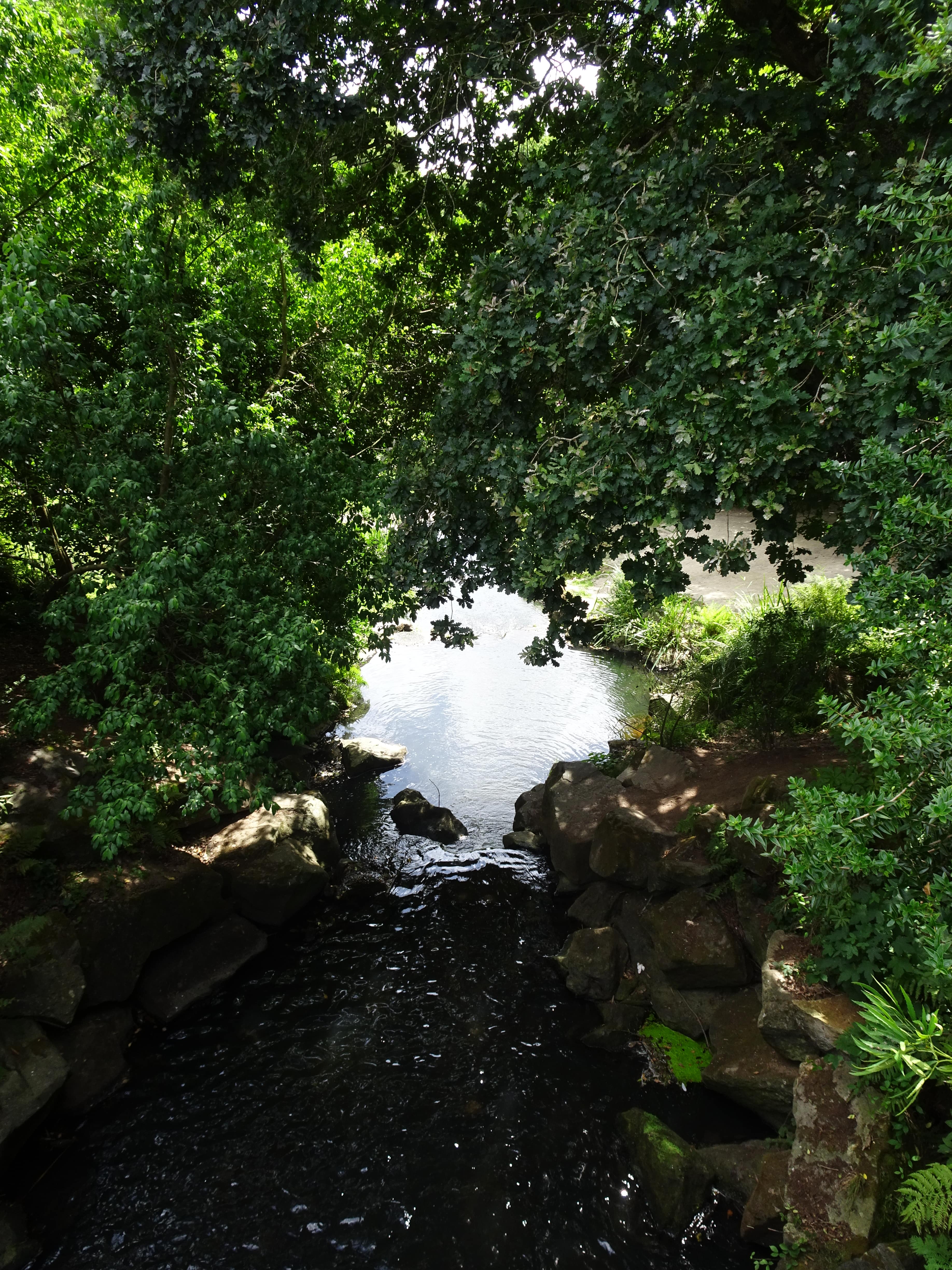 jardin botanique brest