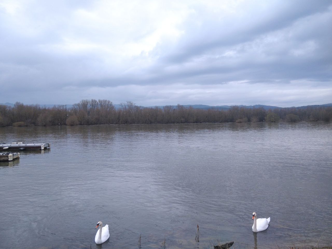 le Rhin