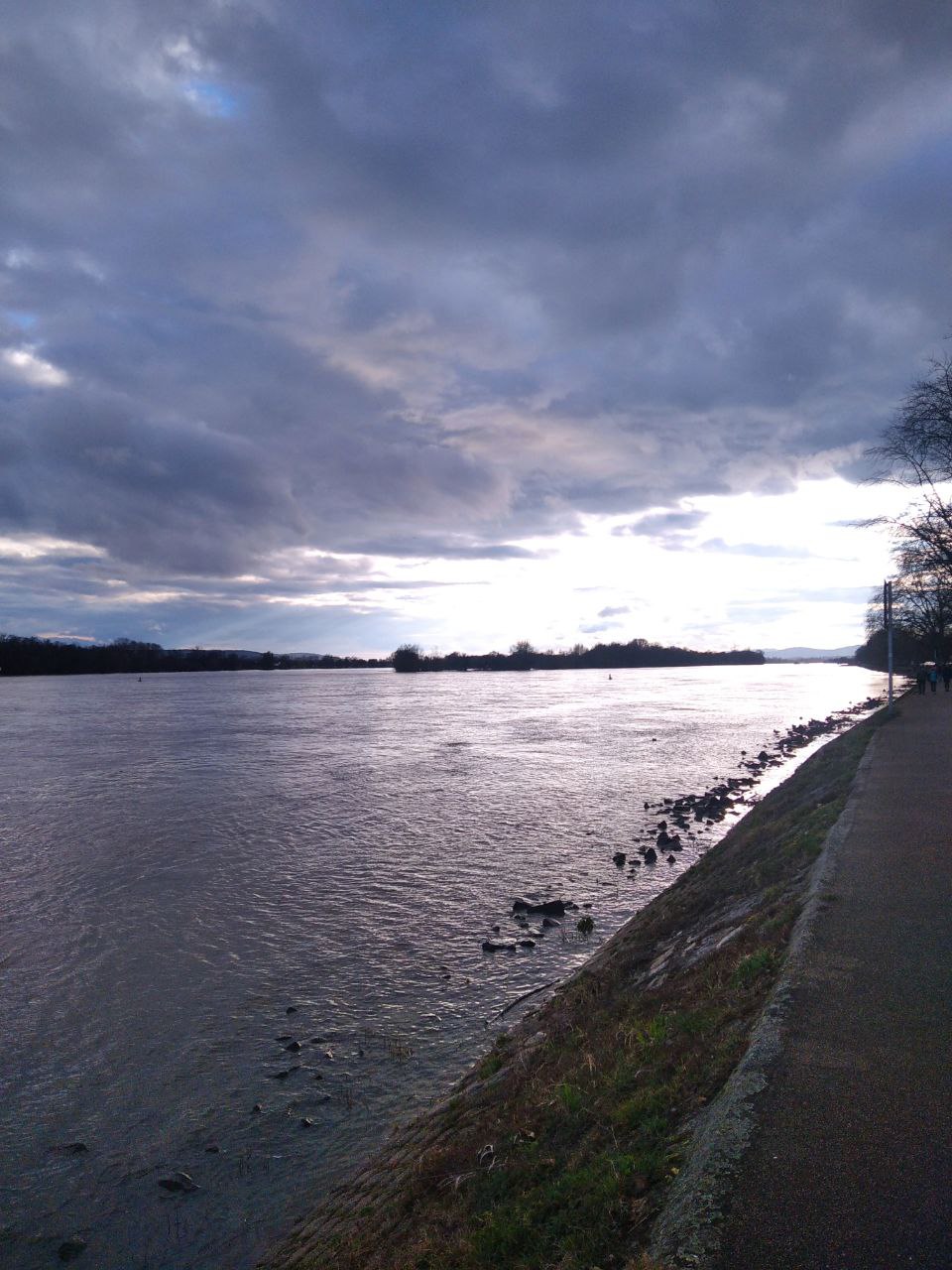 les bords du Rhin à Eltville