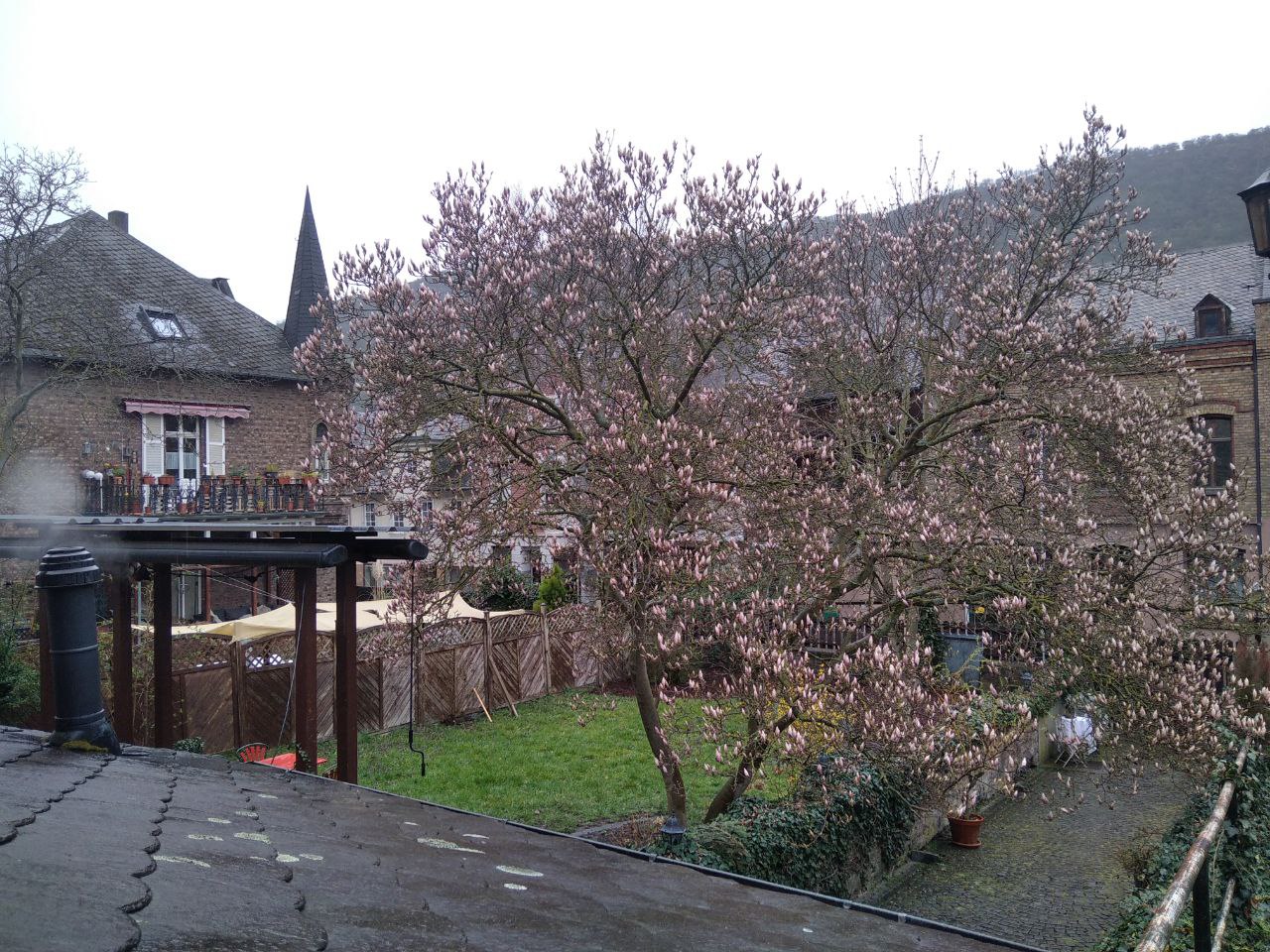 Oberwesel