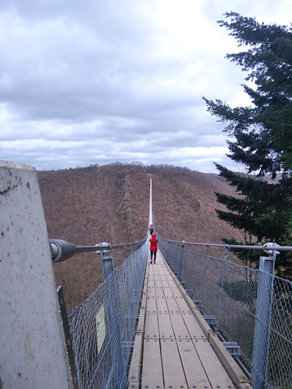 Hangeseilbrucke Geierlay