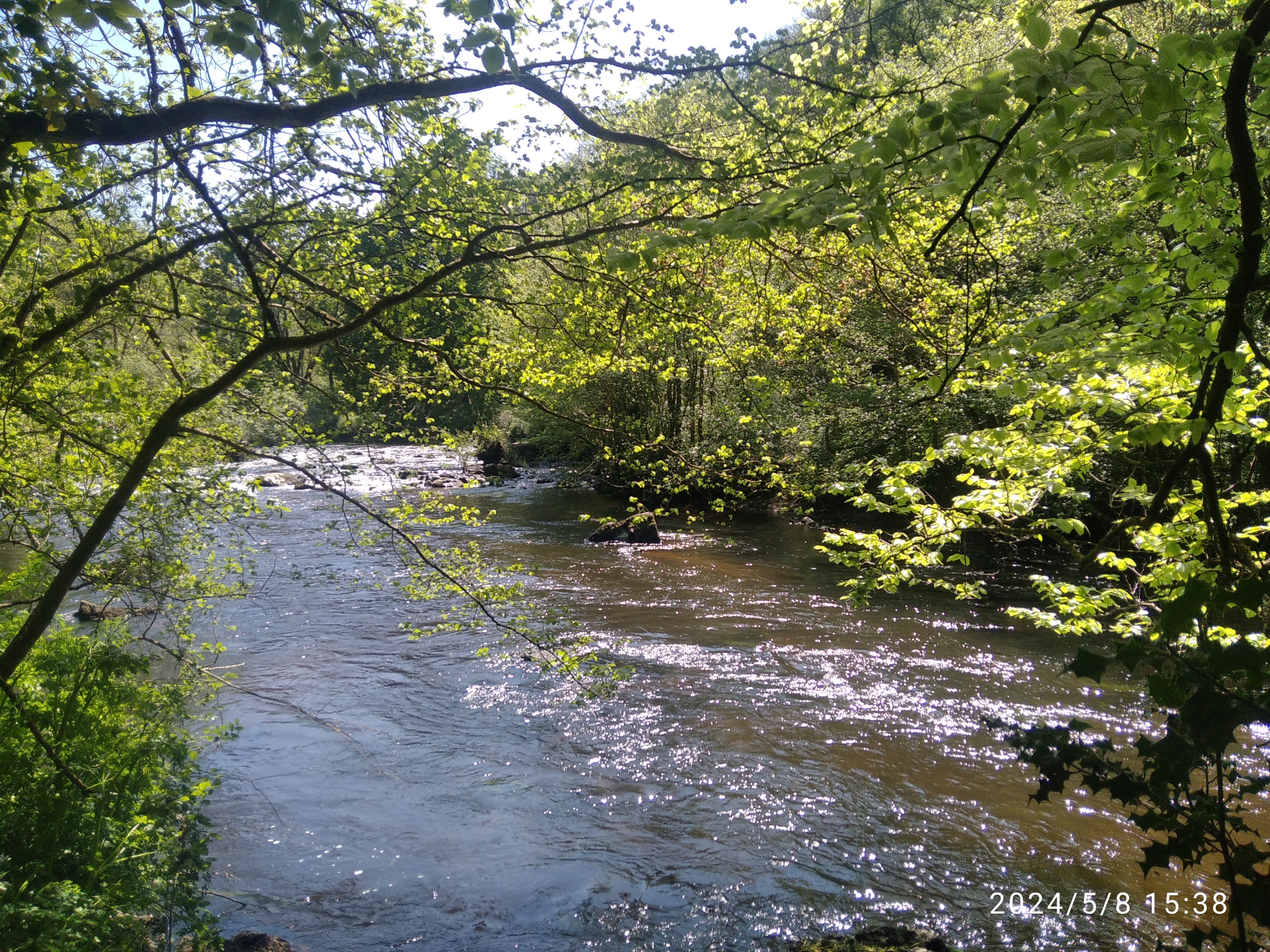 les bords du Trieux GR34