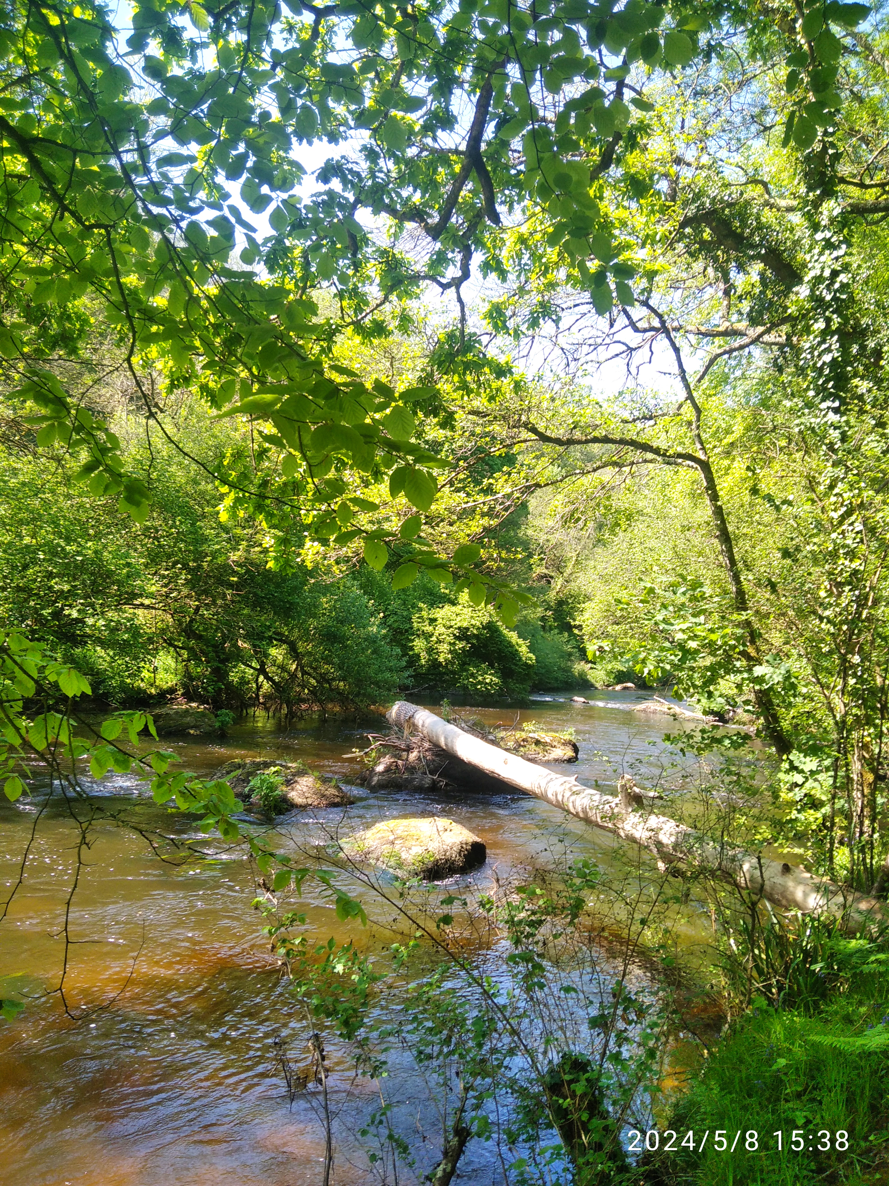 les bords du Trieux GR34