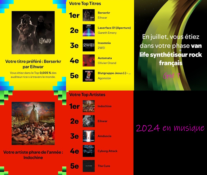 top musique 2024 : eihwar et indochine
