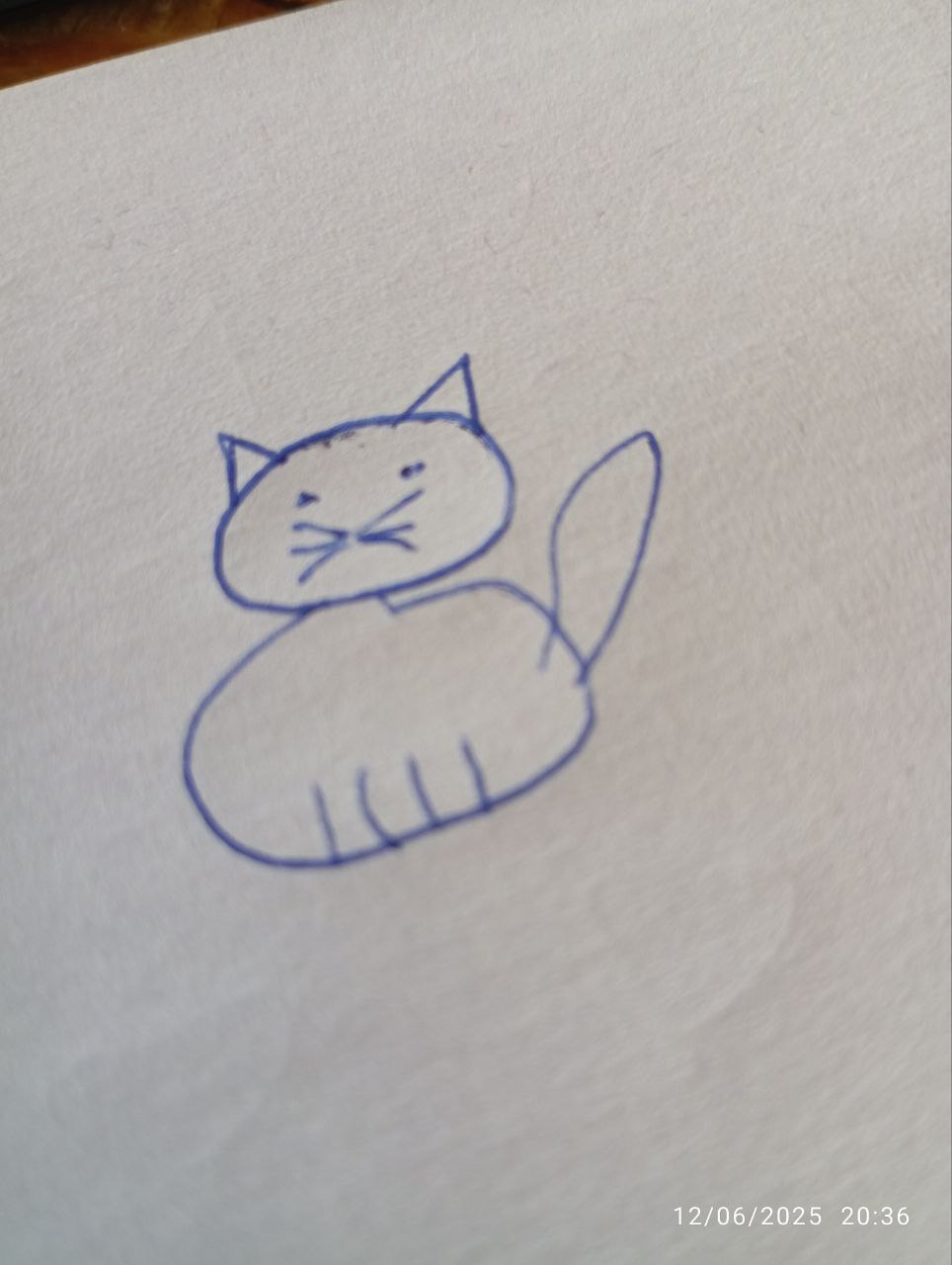 Chat dessiné à base de ronds et triangles, niveau maternel